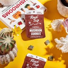 Mood-enhancing mushroom gummies – natural ingredients and smooth effects