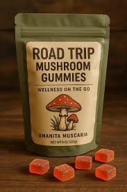 assorted mushroom gummies in travel pouch