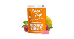 who-are-we-02 Images 17