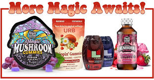 our-story-02 Images 19