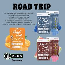 Natural mushroom gummies for mental clarity and mood support